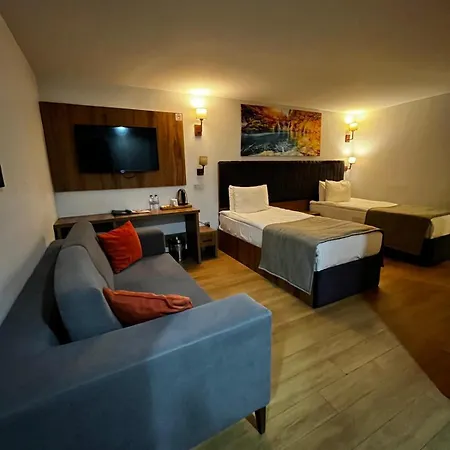 Business Life & Bakirkoey Hotel 3*